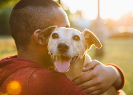 cachorros-refletem-personalidade-do-dono