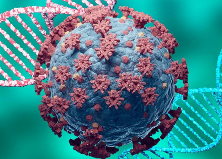 covid-variants-1500px