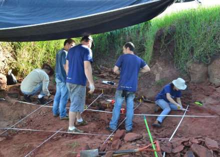 Berthasaura leopoldinae