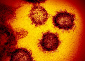 49530315718_7fb7c0e7f1_o_0