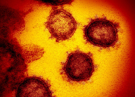 49530315718_7fb7c0e7f1_o_0