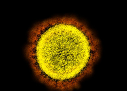 49651434338_7717d63f61_o