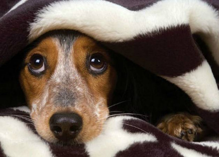 54acb46b-7e65-46fc-a8ab-909c280958c3