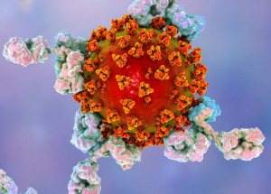 WhatsApp Image 2021-12-02 at 13.33.23