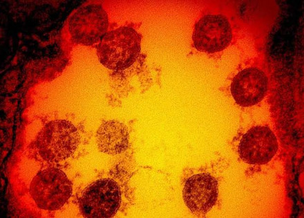 WhatsApp Image 2021-12-06 at 10.57.32