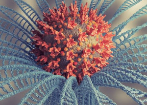 WhatsApp Image 2021-12-14 at 16.21.25