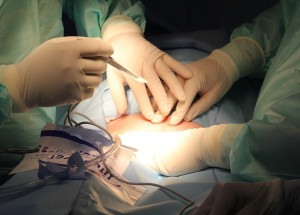 hospital-721239-1920