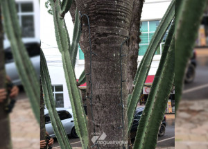 iluminacao-de-natal-e-alvo-de-vandalismo-em-artur-nogueira-correio-nogueirense