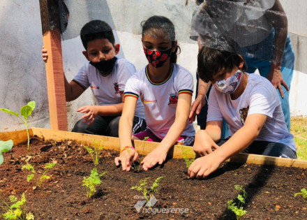 prefeitura-encerrara-ano-letivo-com-plantio-de-mudas-em-artur-nogueira-correio-nogueirense