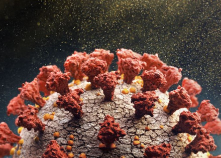 representacao_artistica_novo_coronavirus_covid_19_variante_3