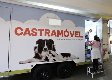 vereador-pede-a-implantacao-do-castramovel-em-artur-nogueira-correio-nogueirense