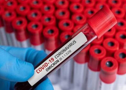 133016378-b87e6aa7-654f-481a-ae12-fa040c27bc0a