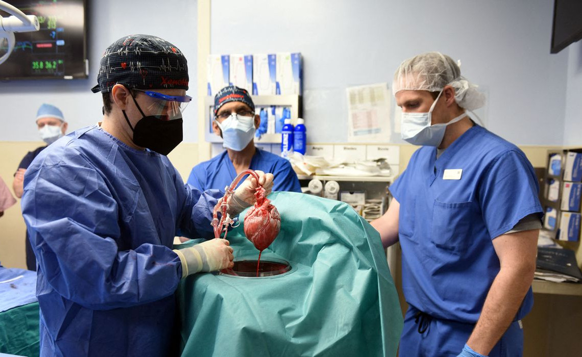 2022-01-11t182429z_1_lynxmpei0a0v3_rtroptp_4_saude-transplante-porco-coracao
