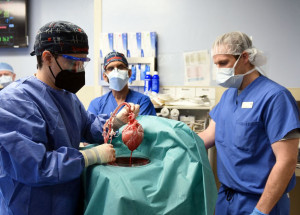 2022-01-11t182429z_1_lynxmpei0a0v3_rtroptp_4_saude-transplante-porco-coracao