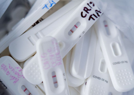 51806240901_d8ef5382c1_k