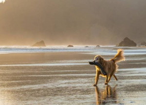 WhatsApp Image 2022-01-01 at 10.24.24