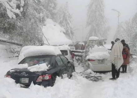 WhatsApp Image 2022-01-09 at 11.56.23