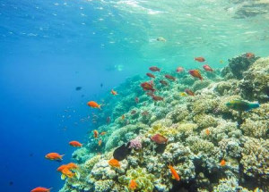 WhatsApp Image 2022-01-16 at 09.39.39