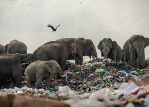 WhatsApp Image 2022-01-16 at 09.43.24