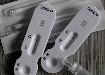 WhatsApp Image 2022-01-26 at 11.14.42