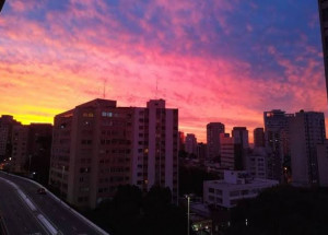 WhatsApp Image 2022-01-29 at 10.13.41