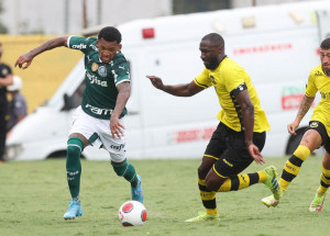 paulistao_palmeiras_1_a_1_sao_bernardo