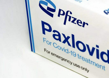 show_paxlovid-remedio-covid-19-pfizer_C56C9EFE-5974-4724-B2ED-94E6EF327EF6