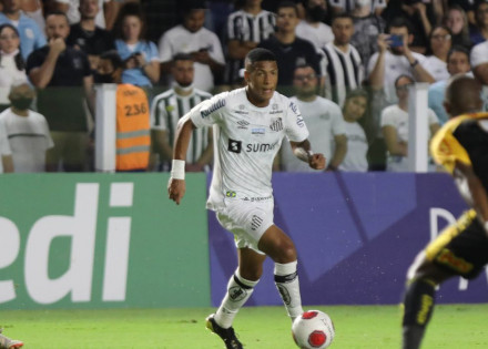 51908635754_122454e8a3_o