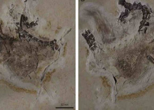 WhatsApp Image 2022-02-02 at 09.42.20