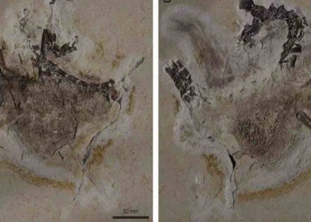 WhatsApp Image 2022-02-02 at 09.42.20