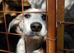 WhatsApp Image 2022-02-28 at 08.27.08