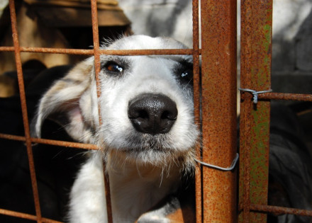 WhatsApp Image 2022-02-28 at 08.27.08