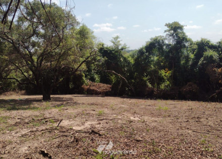 apos-denuncia-dono-de-terreno-e-multado-em-r-121-mil-por-desmatar-area-de-preservacao-ambiental-em-artur-nogueira-correio-nogueirense