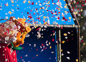 expoflora-sera-retomada-com-acesso-gratuito-a-moradores-de-holambra-em-todos-os-dias-de-festa