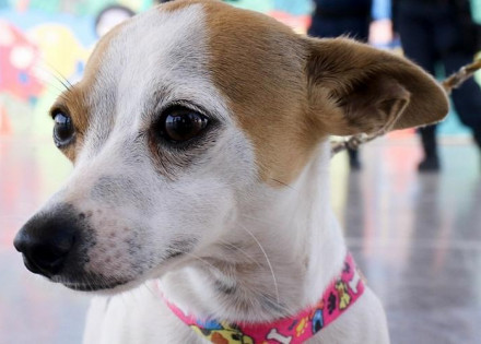 fb8e0c16cab7ddc11c3c47ccfc3dcafd