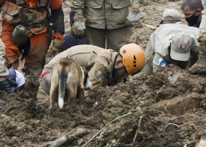 _petropolis_chuvas_tnrgo_abr_1602220707