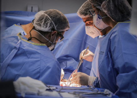 transplante-de-orgaos-cai-em-2021-scaled