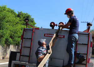 bombeiros voluntarios (1)