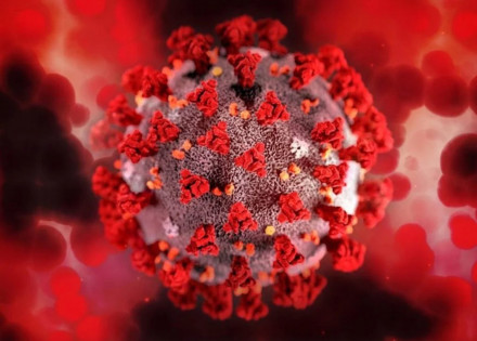 coronavirus-2560x760-1-scaled