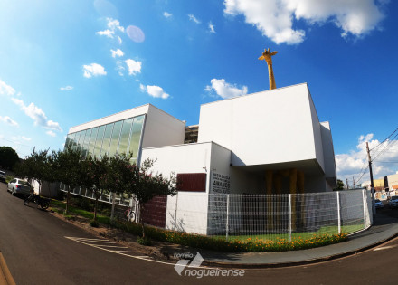 crescimento-e-desenvolvimento-infantil-conheca-as-fases-correio-nogueirense