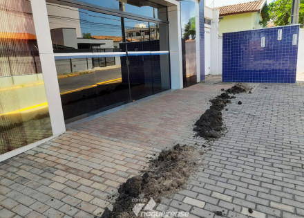 frente-da-camara-municipal-de-artur-nogueira-amanhece-com-esterco-correio-nogueirense
