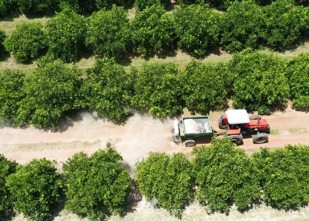 ii-campanha-calagem-de-outono-para-agricultores-e-realizada-em-artur-nogueira-correio-nogueirense-capa