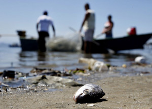 1091883-rj_tanrgo_abr_21092017_82t2057