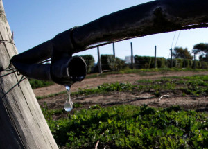 2022-04-11t183054z_2_lynxnpei3a0pn_rtroptp_4_chile-drought