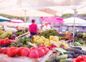 2416094b-492d-47e4-8a87-1441512d6875