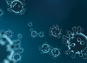 WhatsApp Image 2022-04-01 at 09.15.50