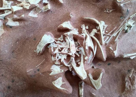 WhatsApp Image 2022-04-03 at 11.00.46