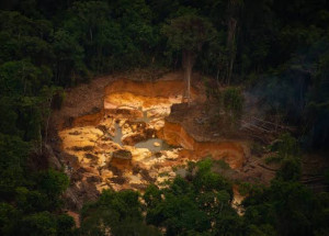 WhatsApp Image 2022-04-29 at 00.43.33