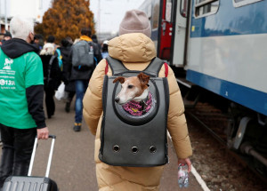 2022-03-03t105325z_881114846_rc2yus9yrphw_rtrmadp_3_ukraine-crisis-border-hungary