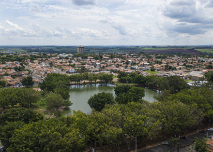 ARTUR NOGUEIRA - AREA